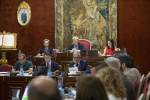 imagen de El Pleno de la Diputación aprueba puntos de gestión de interés para los municipios