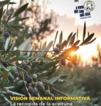 imagen de Mujeres rurales de Baena han sido protagonistas del programa de radio de la SER «A vivir que son dos días»