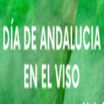 imagen de El Viso celebra el 28-F en la Huerta de los Frailes con deporte y actividades