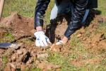 imagen de Diputación de Córdoba se inscribe en SACE y busca sello de cálculo, reducción y compensación