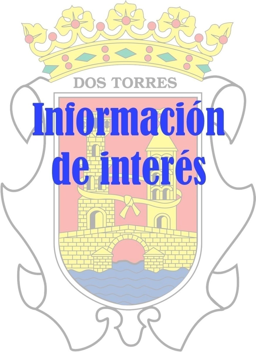ADJUDICACIONES CASETA VOLANTES Y FAROLILLOS Y DISCOCASETA CHAMBAO
