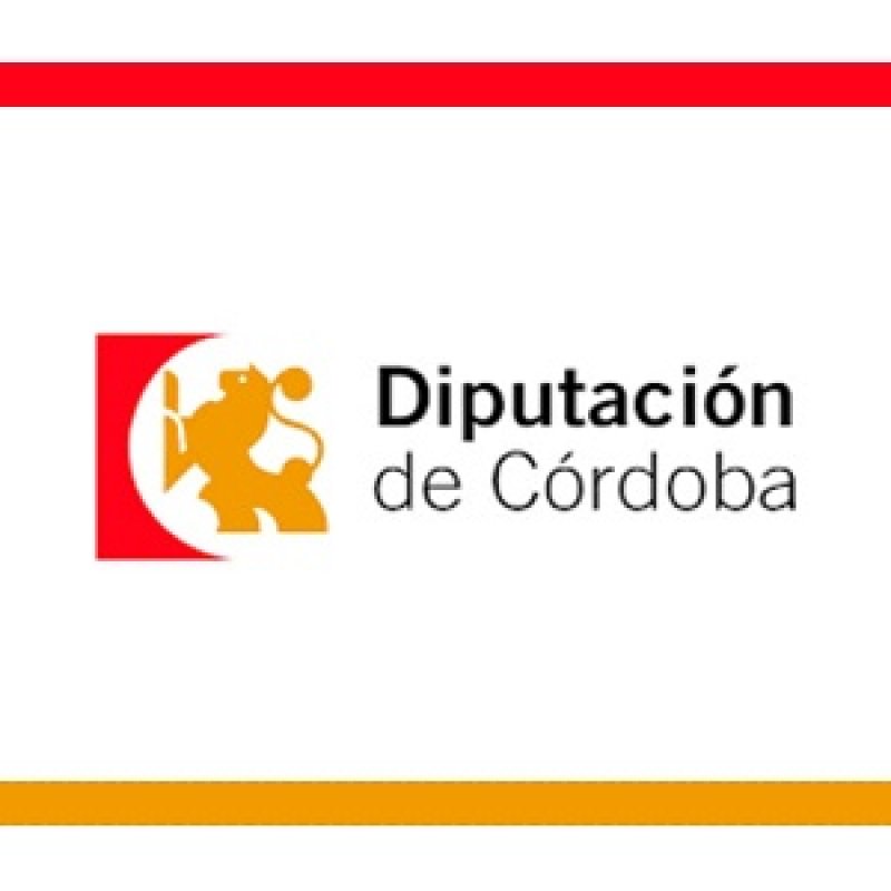 Ayuda concedida por el Plan “Programa de Cooperación Anual con los Ayuntamientos de la provincia de Córdoba para la dinamización de los Puntos Vuela”