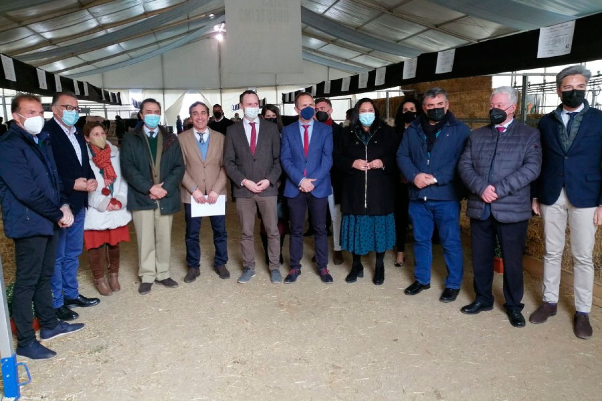 La Feria de Ganado Frisón Usías Holsteins vuelve a tener lugar de forma presencial