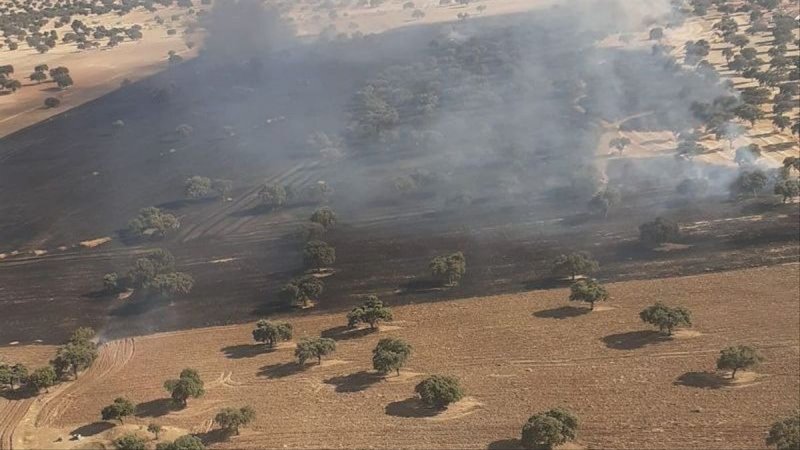 Los bomberos realizan con éxito una importante misión en el incendio forestal de Santa Eufemia