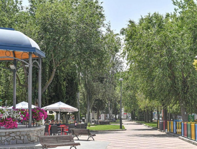 El Ayuntamiento de Pozoblanco aprueba un Plan Director de Arbolado pionero con el objetivo de ampliar las plantaciones de árboles y las zonas verdes