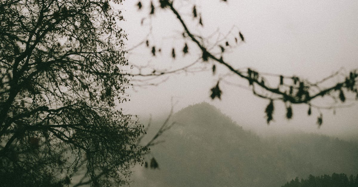 El tiempo en Pozoblanco el 31-03-2023