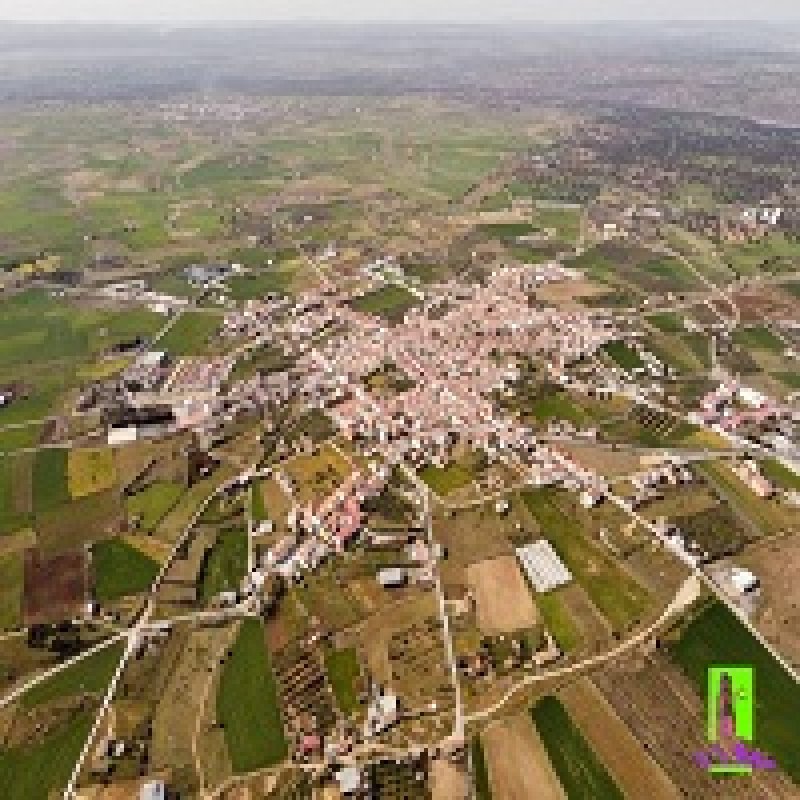 "El municipio de El Viso celebra el Día Internacional del Turismo con recorrido patrimonial y visita de la Asociación de Arte de Córdoba"