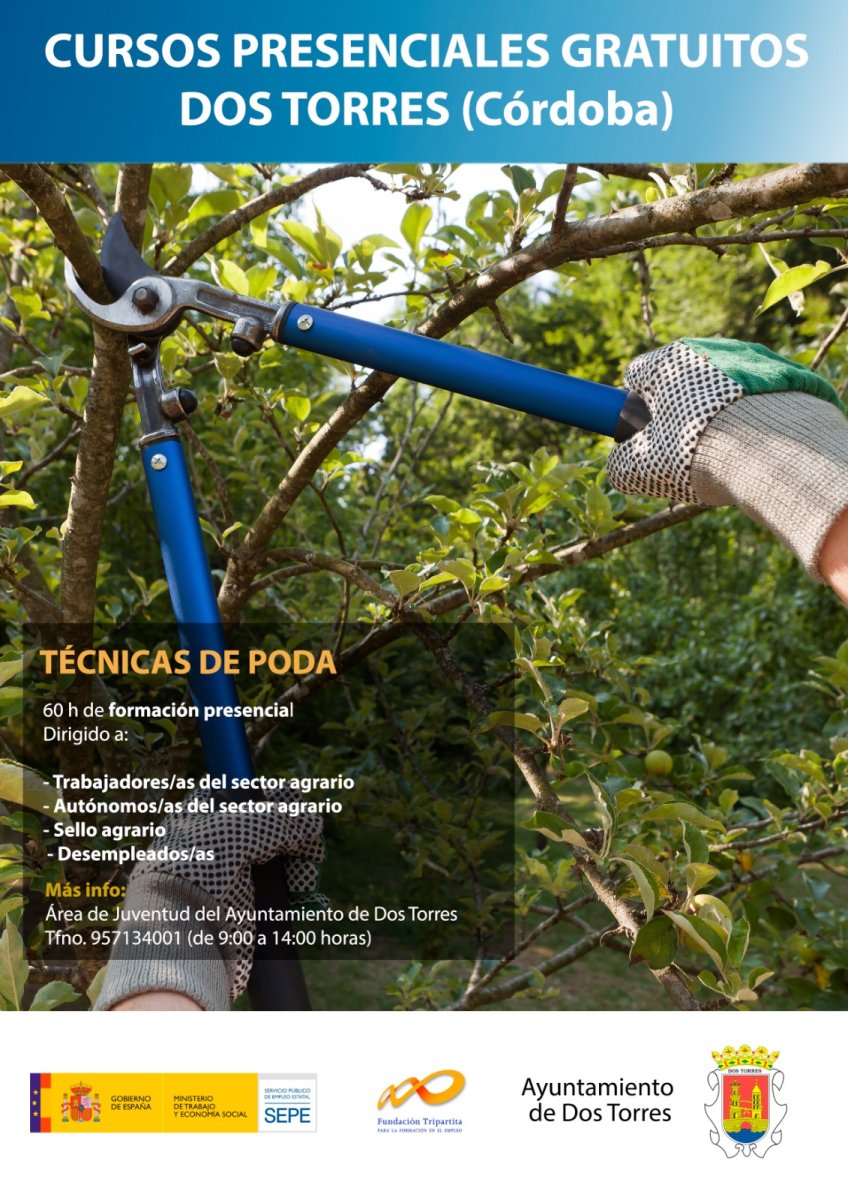 CURSOS PRESENCIALES GRATUITOS