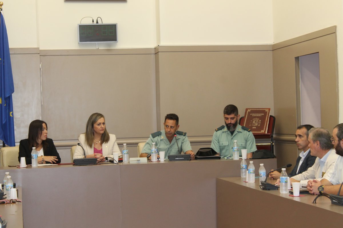 Alcaldesa de Baena convoca a reunión para implementar medidas de seguridad en la temporada de recolección de aceitunas
