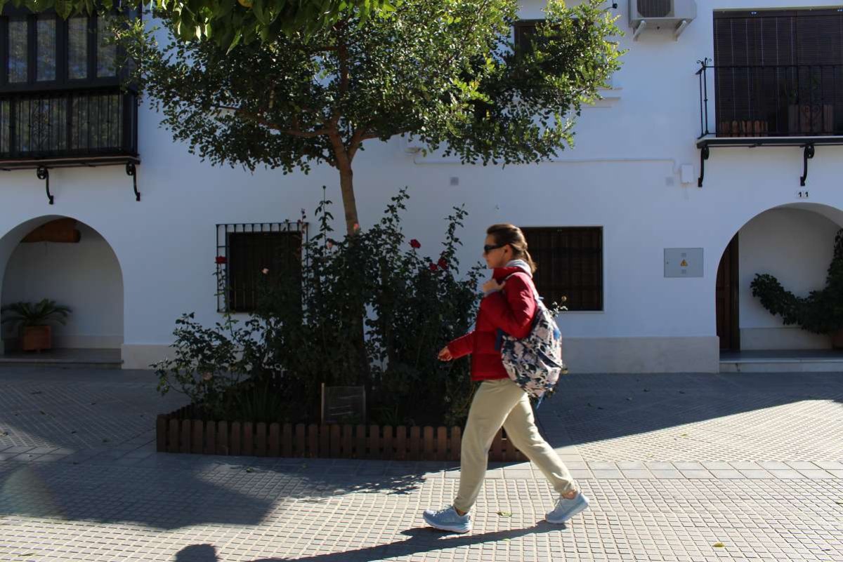 ¡Apadrina tu alcornoque y embellece tu entorno urbano!