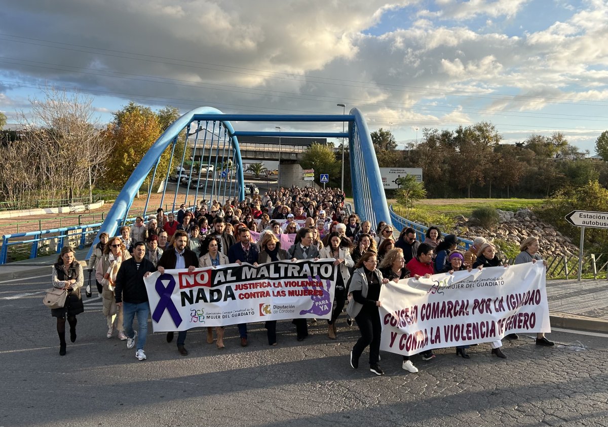 Comarca del Valle del Guadiato se une contra la Violencia de Género