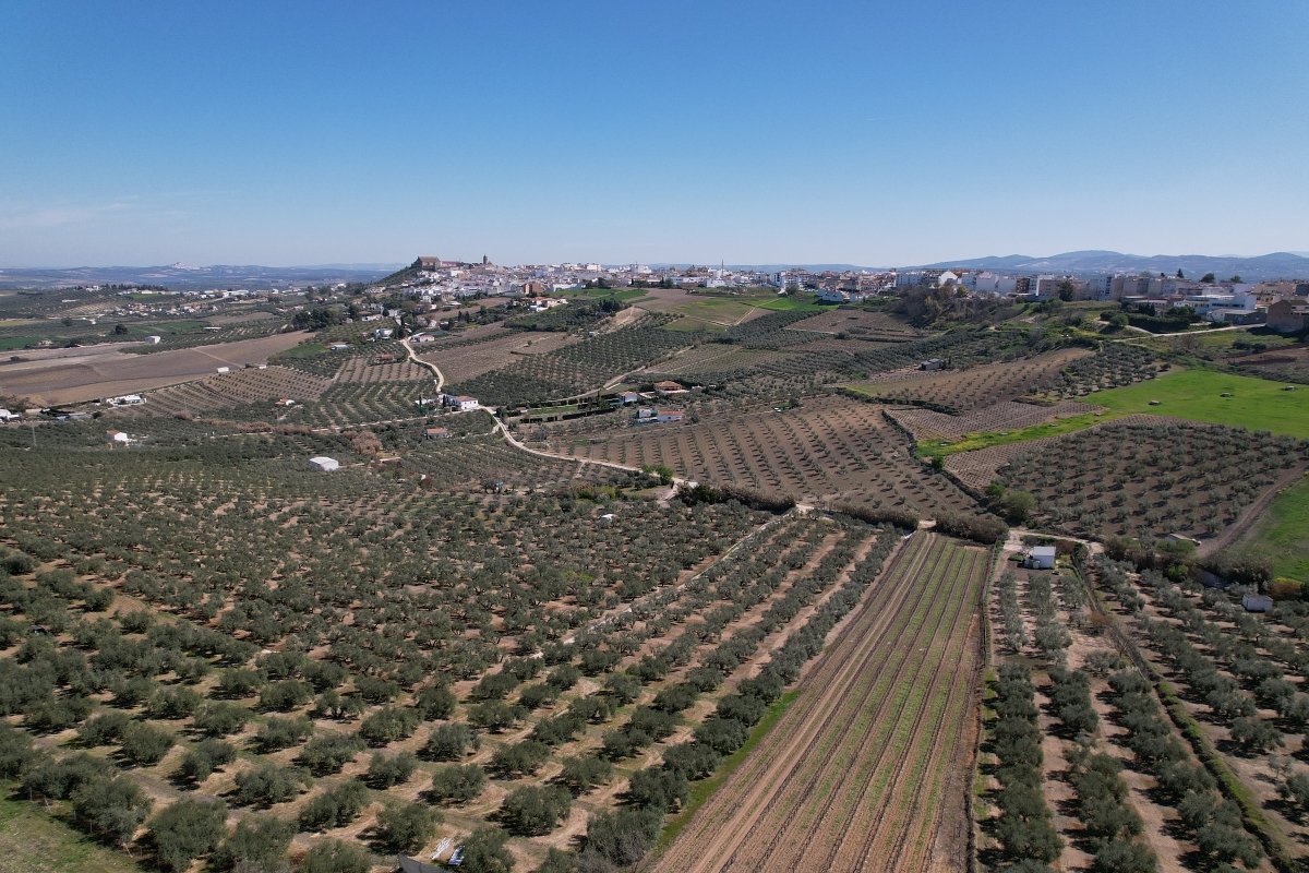 El Ayuntamiento de Montilla se compromete con el desarrollo sostenible a través de dos planes clave