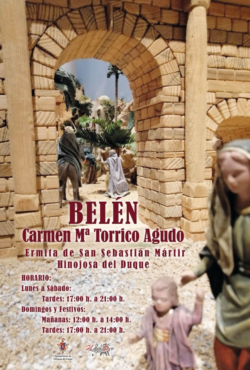 Belén Carmen María Torrico Agudo