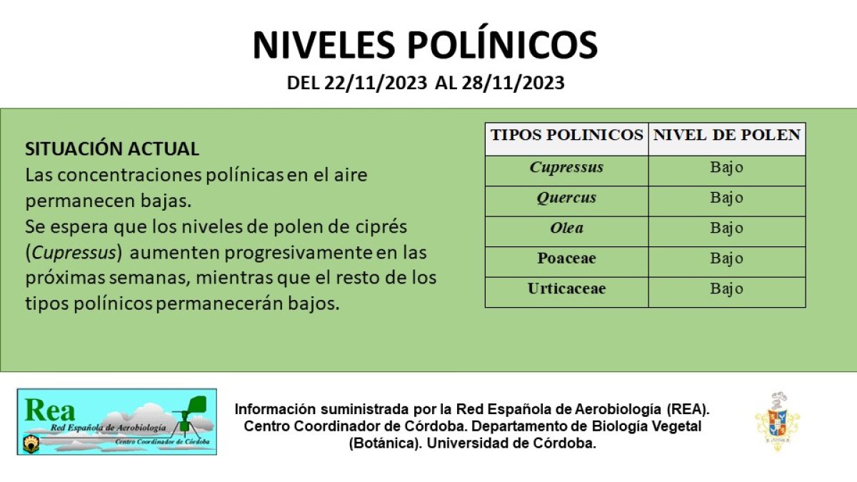 Previsiones polínicas en Hinojosa del Duque: aumento gradual del polen de ciprés en las próximas semanas.