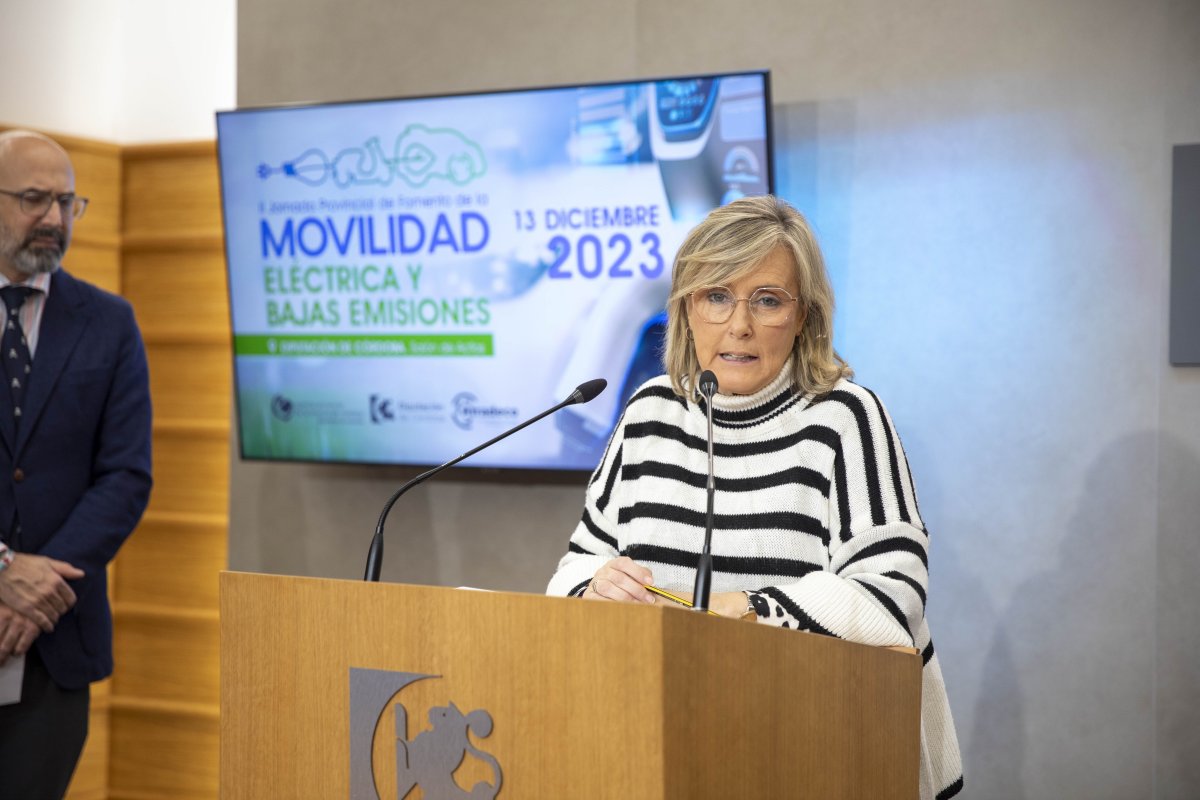 Jornada Provincial aborda desafío de la movilidad sostenible y baja emisión de contaminantes.
