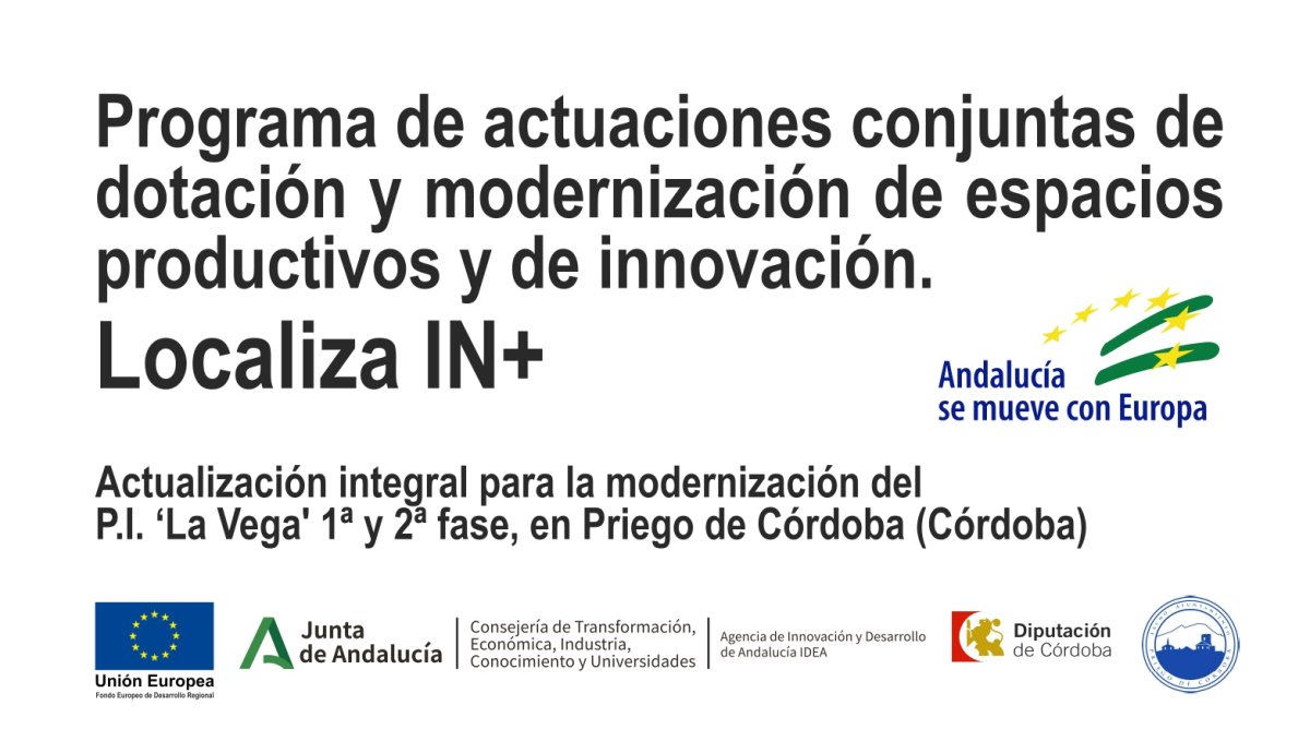 PROGRAMA DE ACTUACIONES CONJUNTAS DE DOTACIÓN Y MODERNIZACIÓN DE ESPACIOS PRODUCTIVOS Y DE INNOVACIÓN. LOCALIZA IN+