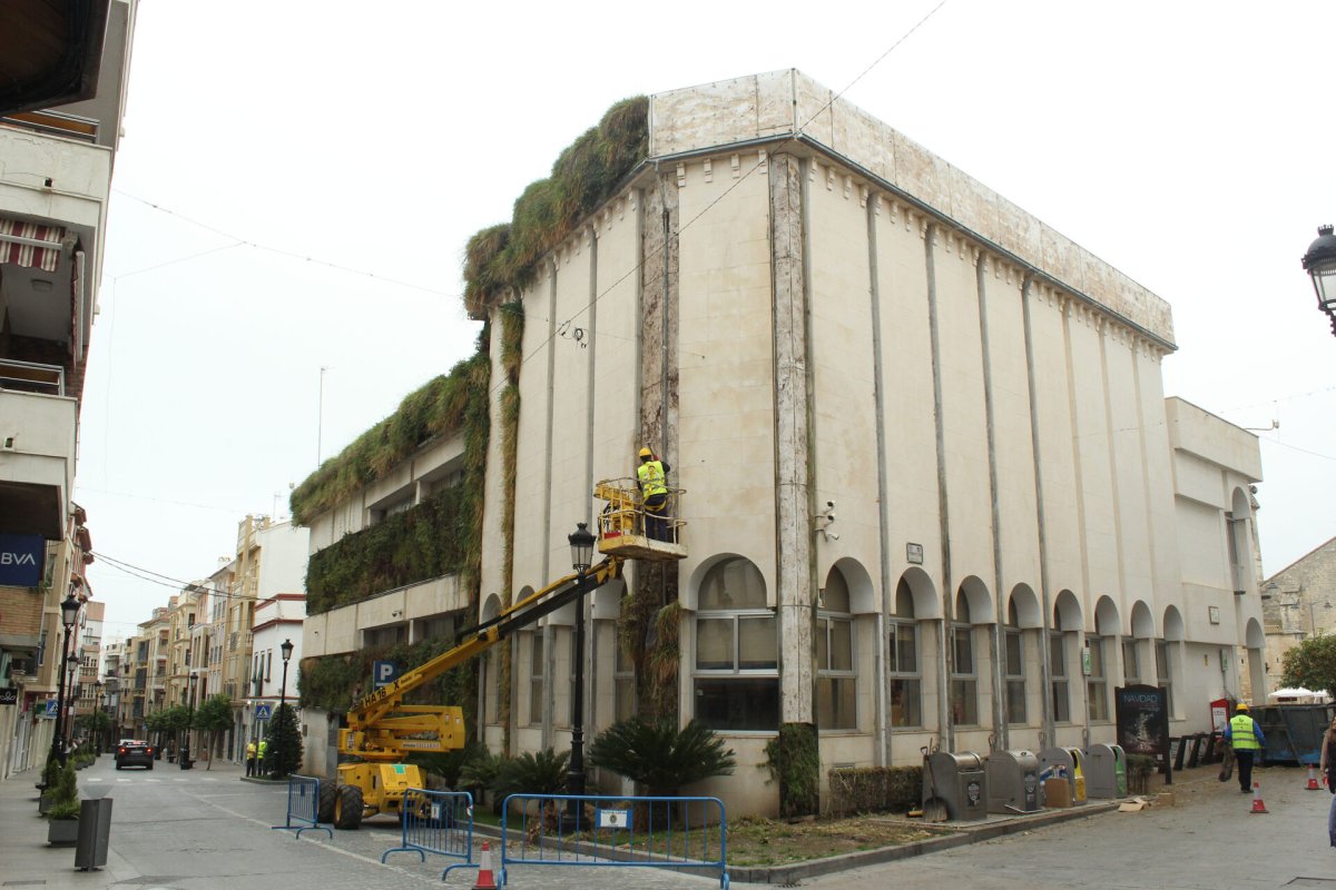 Ayuntamiento de Lucena elimina jardín vertical para solucionar problemas estructurales
