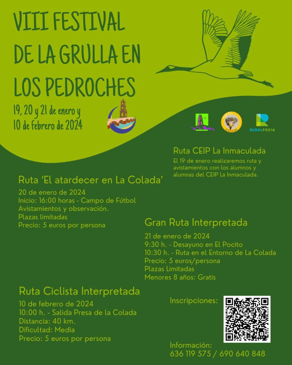 VIII Festival de la Grulla en Los Pedroches: ¡disfruta de la observación de aves y actividades en la naturaleza!