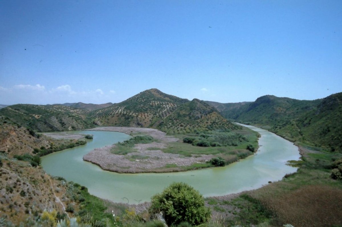 El Ayuntamiento de Lucena organiza ruta en conmemoración del Día Mundial de los Humedales.
