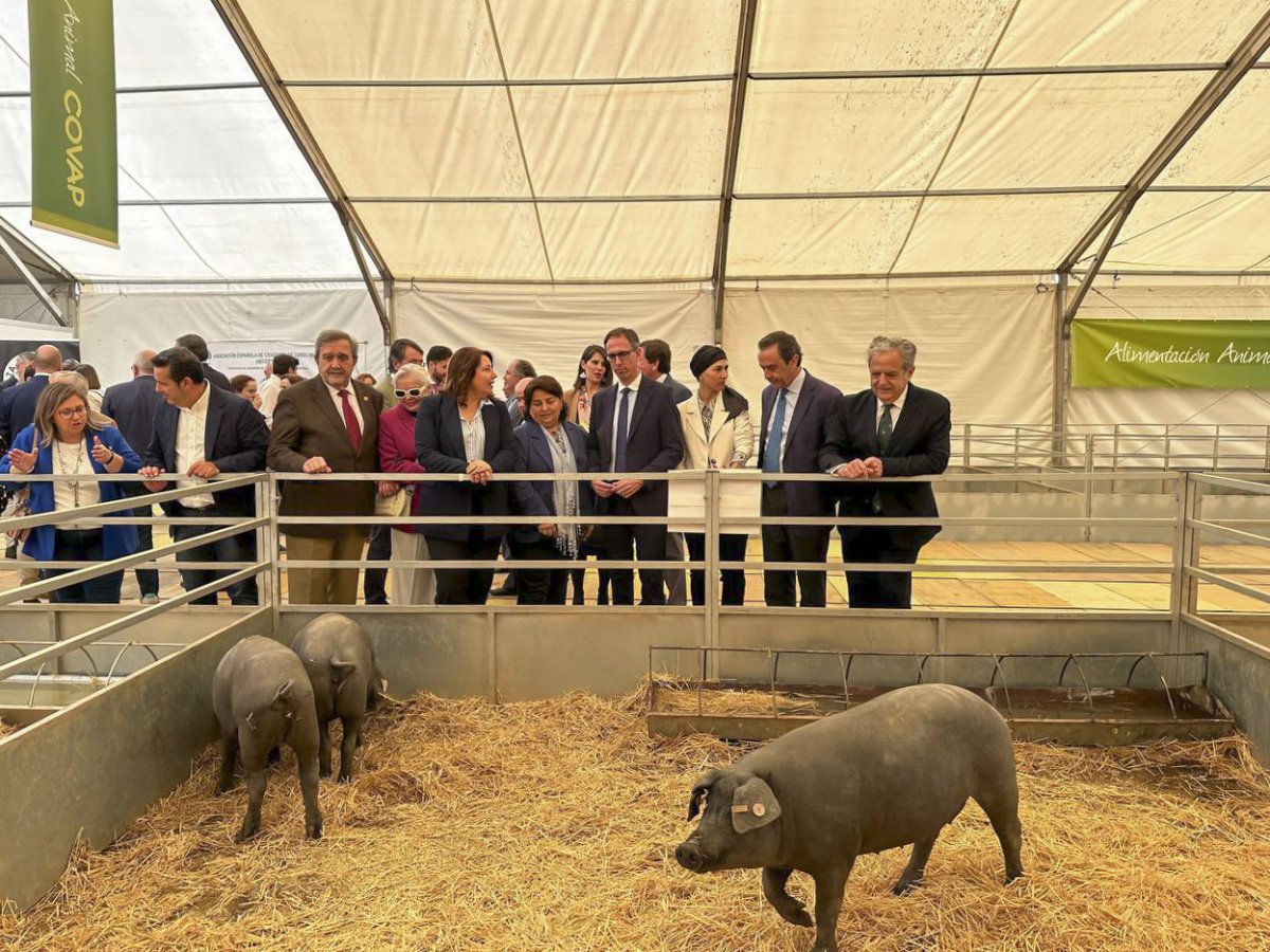 El presidente de la Diputación de Córdoba inaugura importante Feria Agroganadera en Los Pedroches