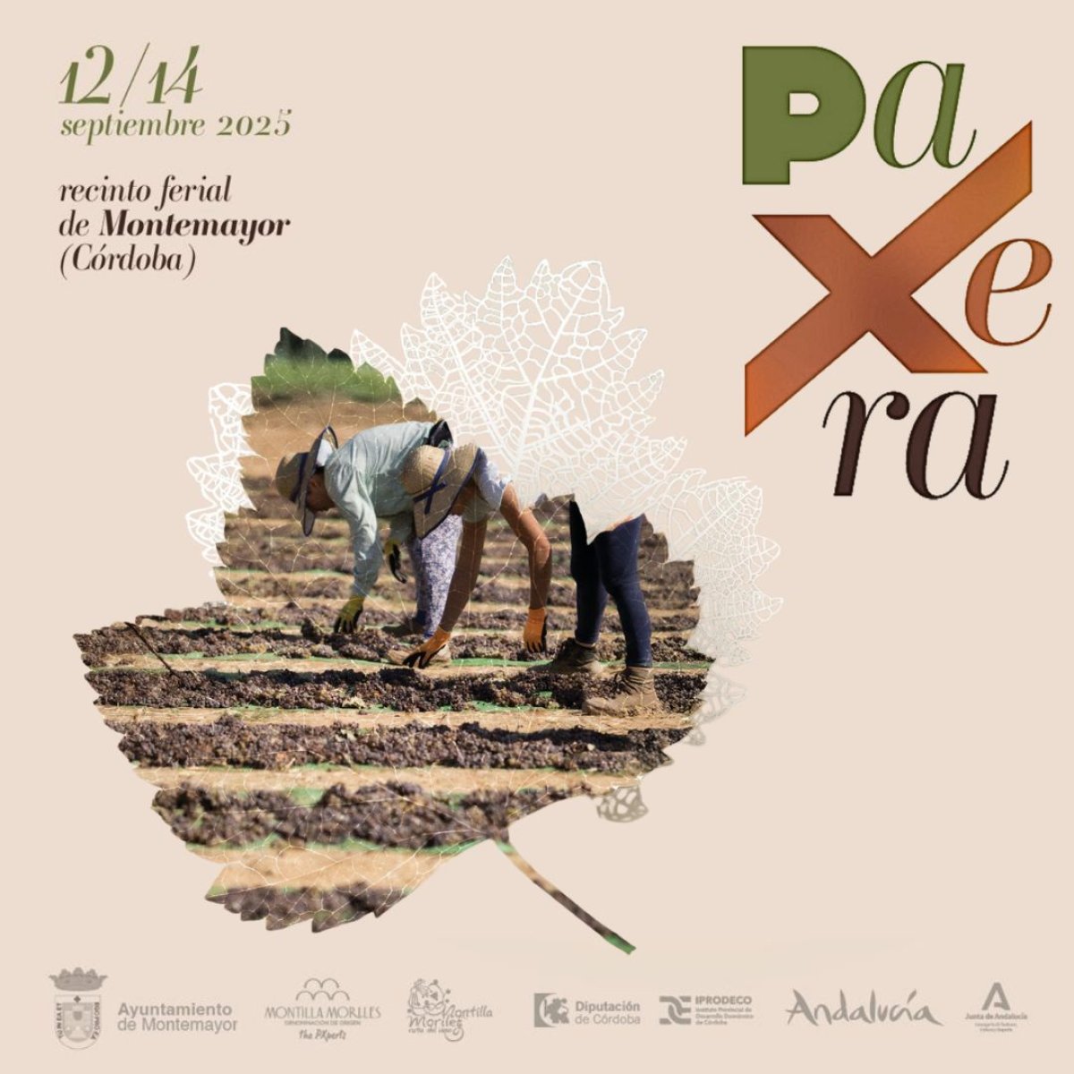 Paxera 2025