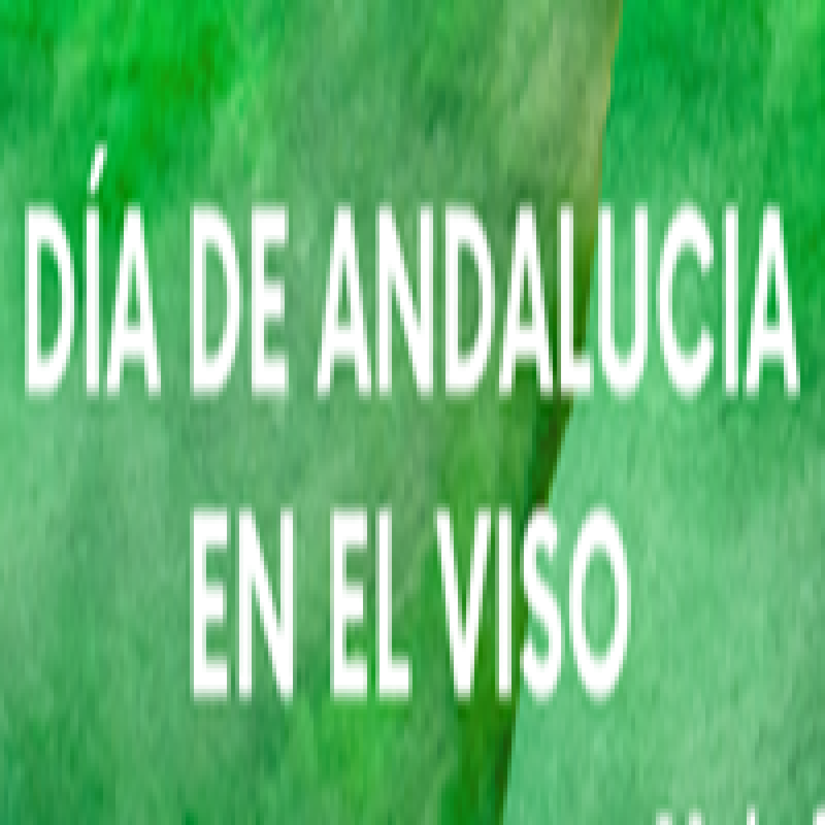 El Viso celebra el 28-F en la Huerta de los Frailes con deporte y actividades