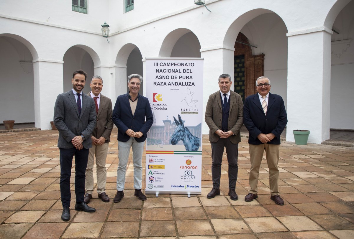 III Campeonato Nacional del Asno en Córdoba para salvar raza (<500 ejemplares)