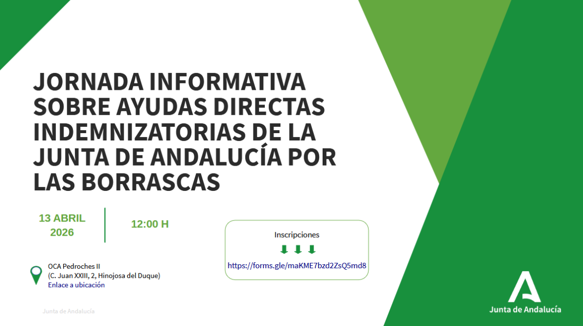 Hinojosa organiza jornada sobre ayudas e indemnizaciones por las borrascas (nov 2025–feb 2026)