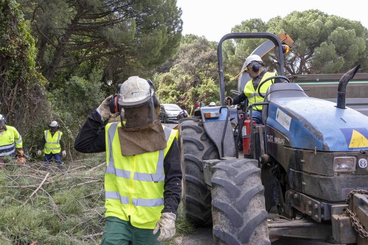 Diputación de Córdoba invierte más de 1M€ en plan antiincendios en carreteras a Sierra Morena