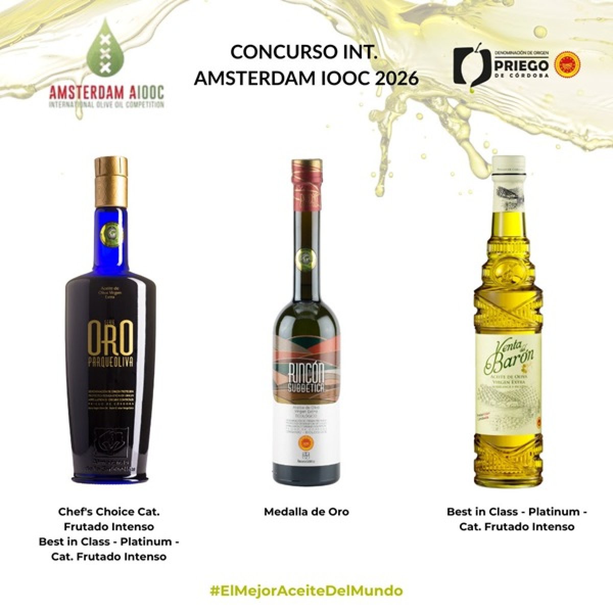 Tres aceites de la DOP Priego de Córdoba triunfan en Amsterdam AIOOC: dos Best in Class – Platinum