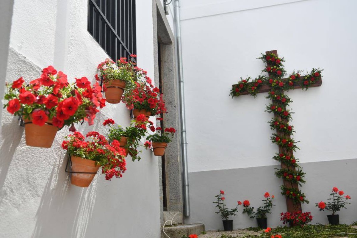Anímate a participar en la Muestra Popular de Cruces de Mayo 2022 de Pozoblanco