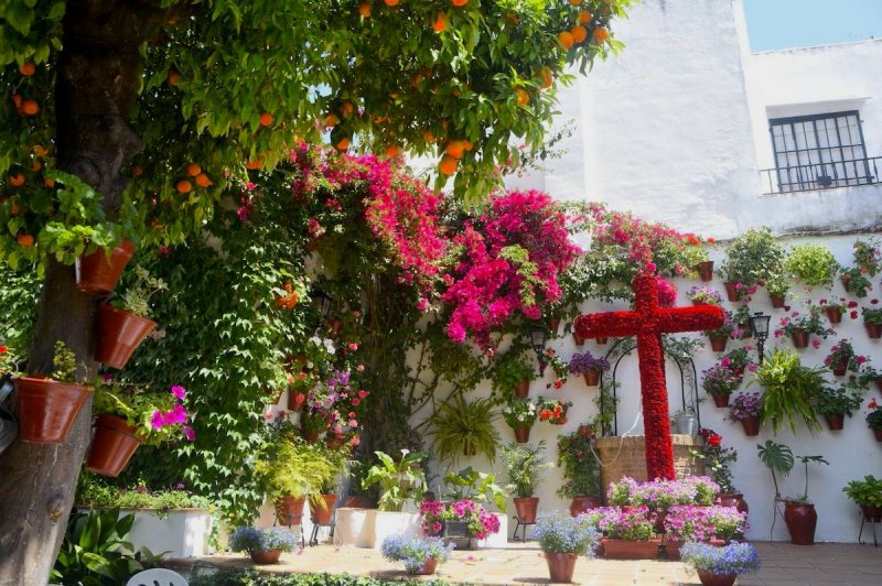 ¿Cómo hacer una Cruz de Mayo? Todo lo que necesitas saber