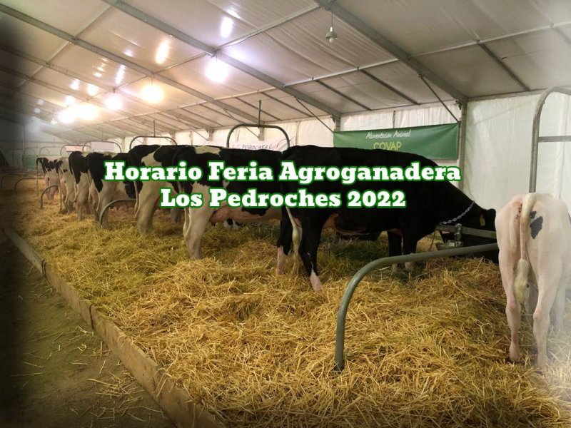 Horario Feria Agroganadera Los Pedroches 2022