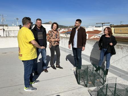 imagen de Ayuntamiento de Peñarroya-Pueblonuevo inicia programa de captura para controlar población de palomas