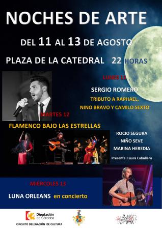 imagen de Noches de Arte