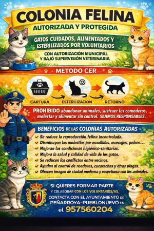 imagen de Arranca en Peñarroya‑Pueblonuevo el programa CER para controlar colonias felinas