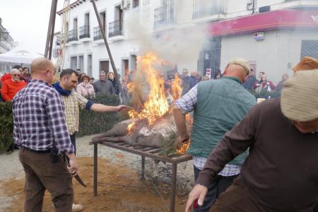 imagen de La Fiesta de la Matanza llena las calles de Alcaracejos en una jornada de tradición en torno a la gastronomía