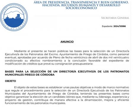 imagen de Bases del Procedimiento para la selección de un Director/a Ejecutivo/a de los Patronatos Municipales del Ayuntamiento de Priego de Córdoba