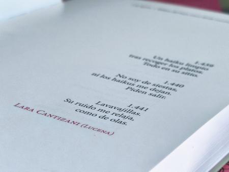 imagen de VI Premio Nacional de Poesía Ciudad de Lucena 'Lara Cantizani': 3.000€ y plazo hasta 22/7