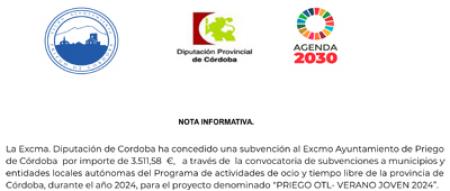 imagen de La Excma. Diputación de Cordoba ha concedido una subvención al Excmo Ayuntamiento de Priego de Córdoba para el proyecto denominado PRIEGO OTL- VERANO JOVEN 2024.