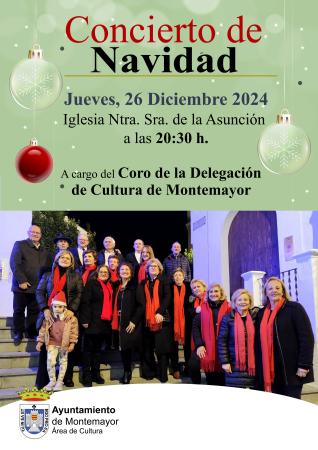 imagen de CONCIERTO DE NAVIDAD