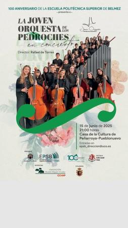 imagen de CONCIERTO DE LA JOVEN ORQUESTA DE LOS PEDROCHES EN LA CASA DE LA CULTURA