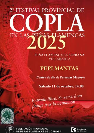 imagen de FLAMENCO