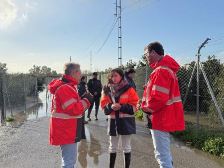 Crecida del Genil de hasta 1,5 m obliga a desalojos en Palma del Río