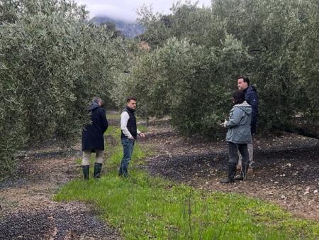 imagen de Borrascas dejan hasta un 70% de pérdidas y caminos intransitables en la Subbética