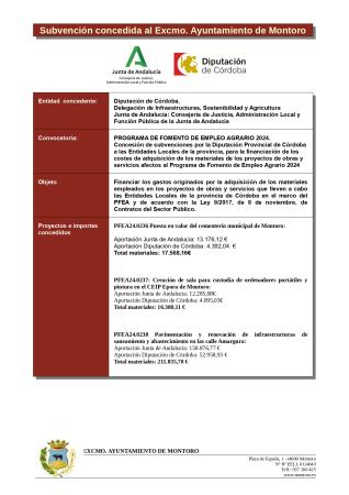imagen de SUBVENCIÓN CONCEDIDA MATERIALES PFEA 2024