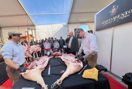 imagen de Villanueva de Córdoba vivió ayer la XXI Fiesta de la Matanza y la Artesanía Popular