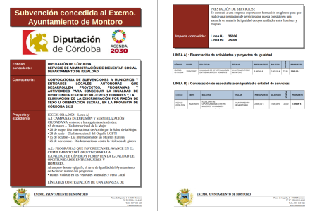 imagen de SUBVENCIÓN CONCEDIDA DIPUTACIÓN DE CÓRDOBA – igualdad de oportunidades entre hombres y mujeres 2025