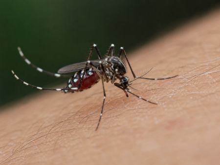 imagen de Cabra actualiza plan antivectorial contra el virus del Nilo con apoyo provincial