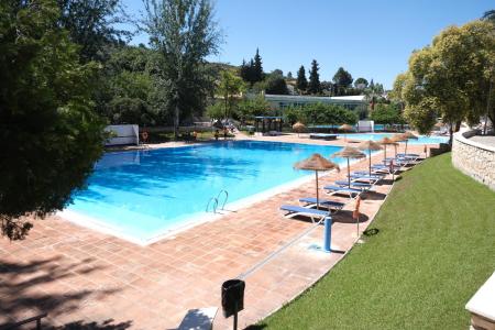 imagen de Ayuntamiento licita quiosco de verano en la terraza del Parque Deportivo Heliodoro Martín